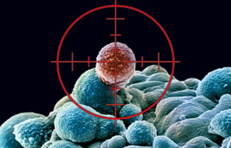 Tế bào gốc Ung thư liên quan đến quá trình kháng thuốc