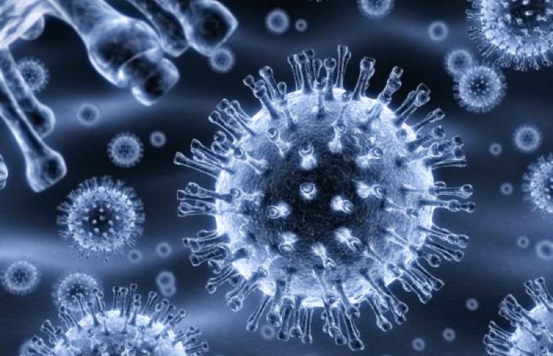 Kích hoạt hệ thống miễn dịch phản ứng với nhiễm trùng